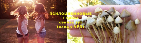 мескалин Козловка