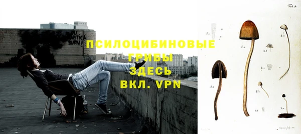 мескалин Козловка