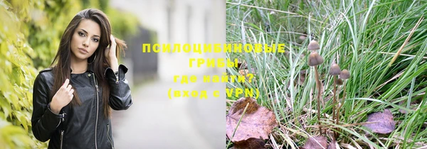 мескалин Козловка