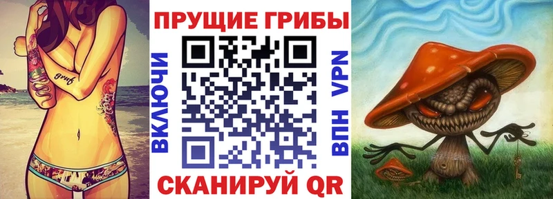 Купить закладки  Красноуральск  Псилоцибиновые грибы Psilocybine cubensis 